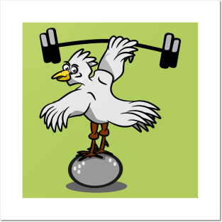 Chicken lifting weights Posters and Art